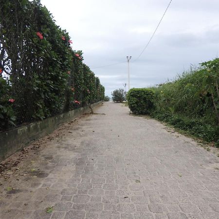Lindo Apartamento 500M Da Praia Ingleses Norte Florianopolis Ngoại thất bức ảnh